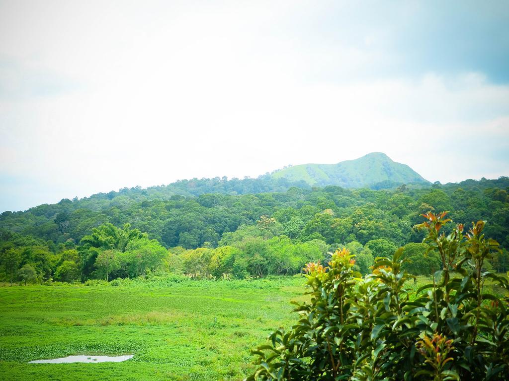 Kerala House Apartment Thekkady Bagian luar foto